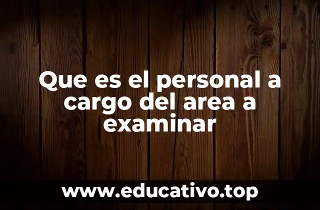 Que es el personal a cargo del area a examinar