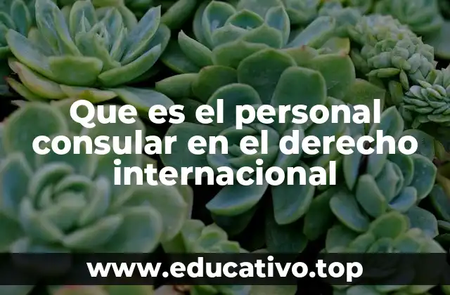 Que es el personal consular en el derecho internacional