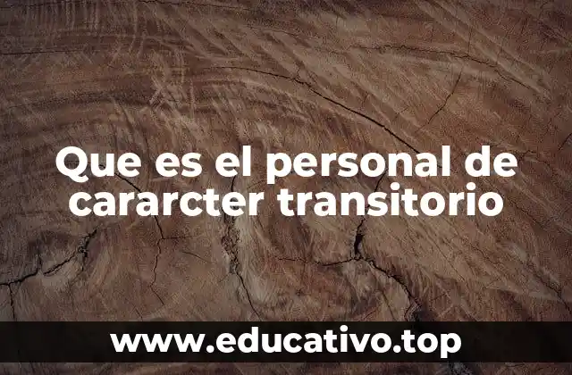 Que es el personal de cararcter transitorio