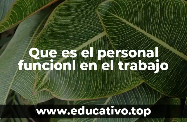 Que es el personal funcionl en el trabajo