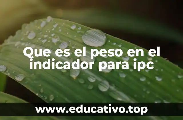 Que es el peso en el indicador para ipc