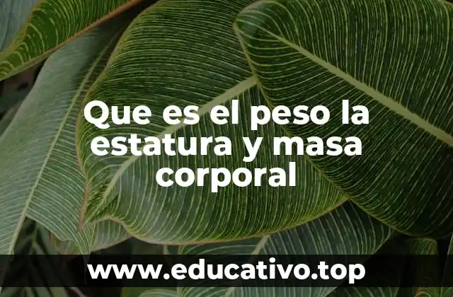 Que es el peso la estatura y masa corporal