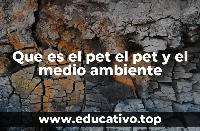Que es el pet el pet y el medio ambiente