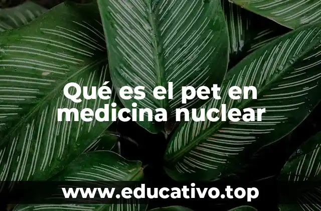 Qué es el pet en medicina nuclear