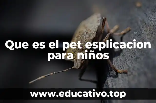 Que es el pet esplicacion para niños