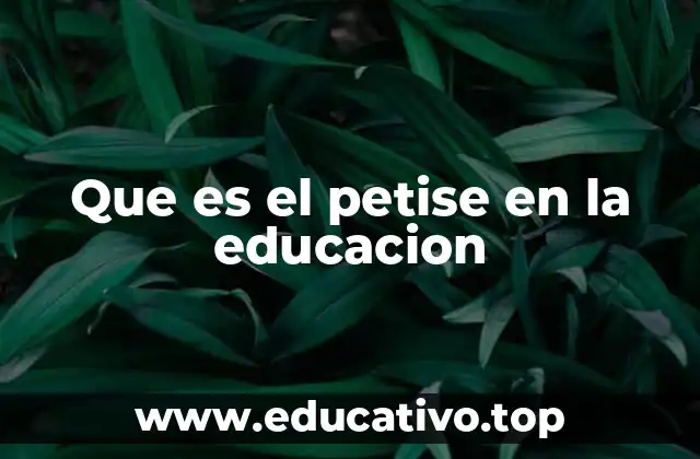 Que es el petise en la educacion