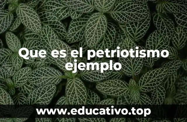 Que es el petriotismo ejemplo