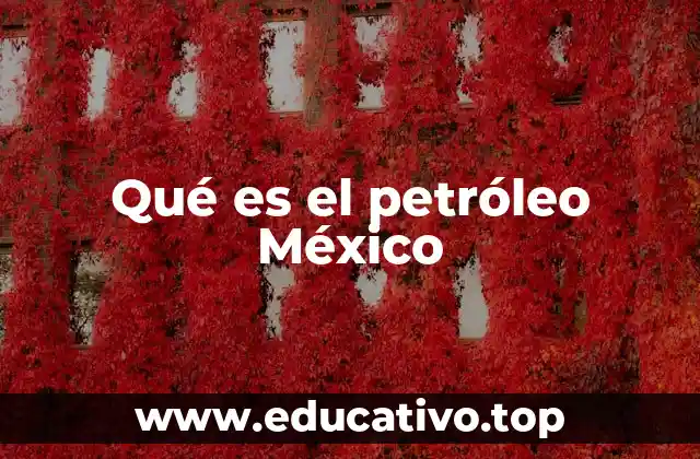 Qué es el petróleo México