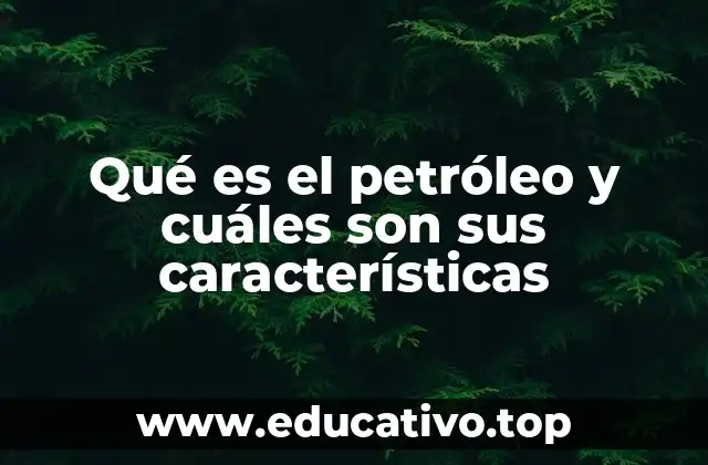 Qué es el petróleo y cuáles son sus características