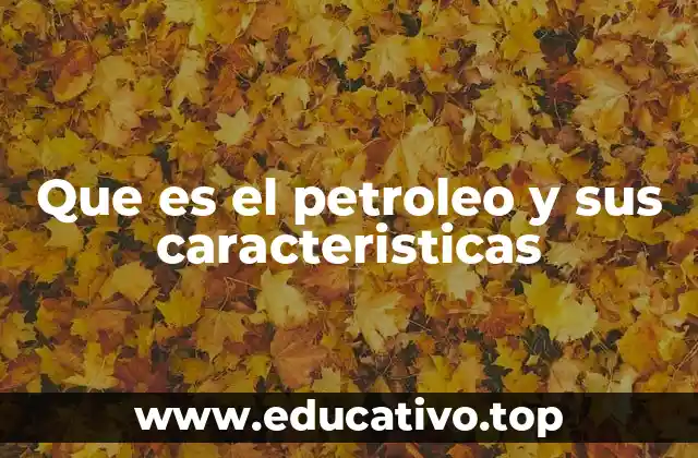 Que es el petroleo y sus caracteristicas