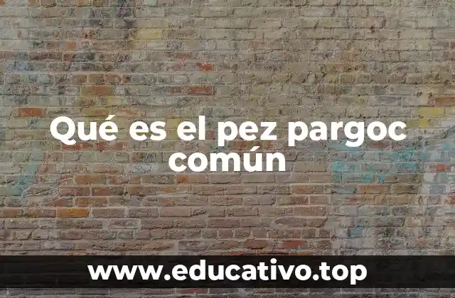 Qué es el pez pargoc común