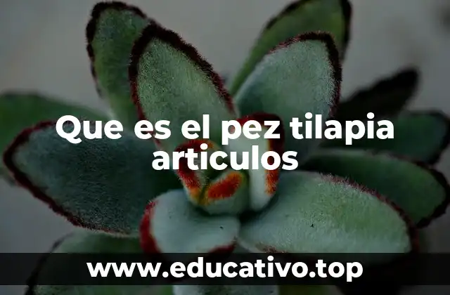 Que es el pez tilapia articulos