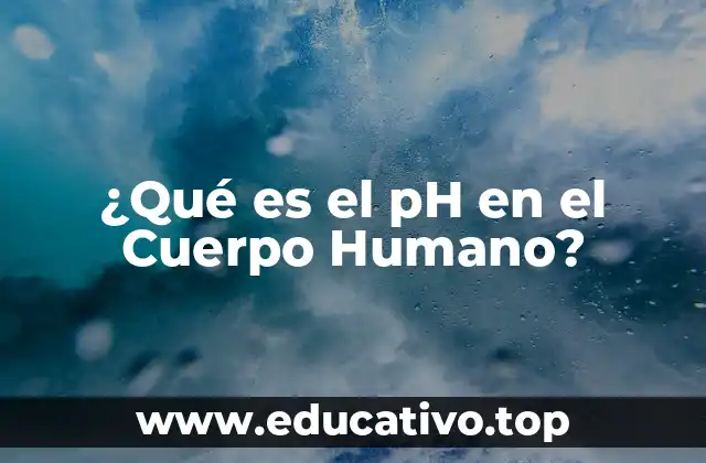 Funciones del pH en el Cuerpo Humano