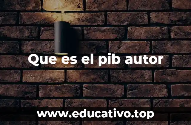 Que es el pib autor