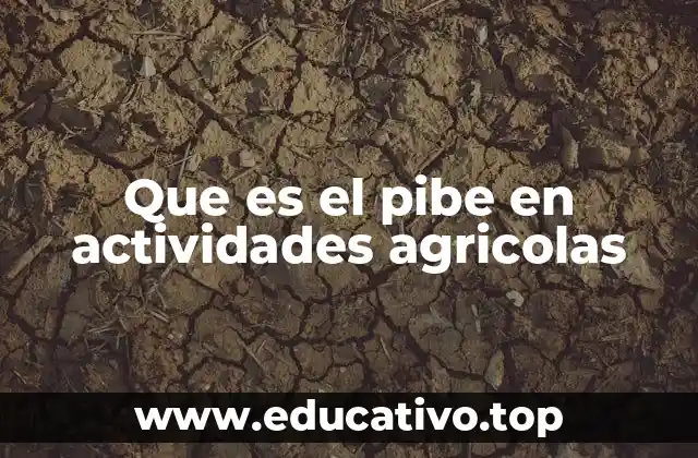 Que es el pibe en actividades agricolas