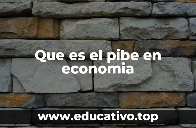 Que es el pibe en economia