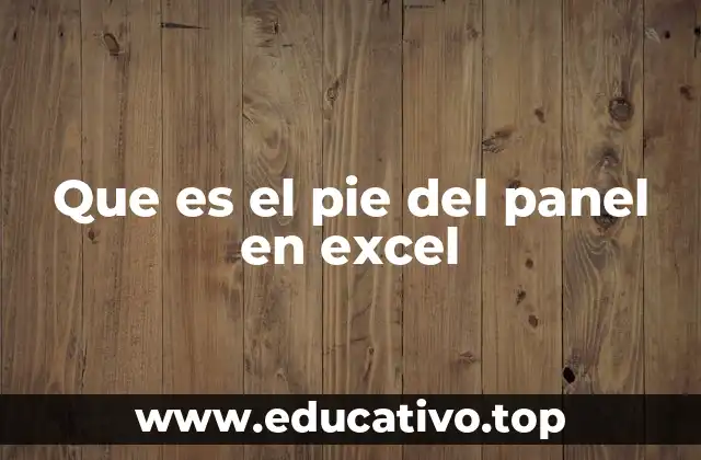Que es el pie del panel en excel