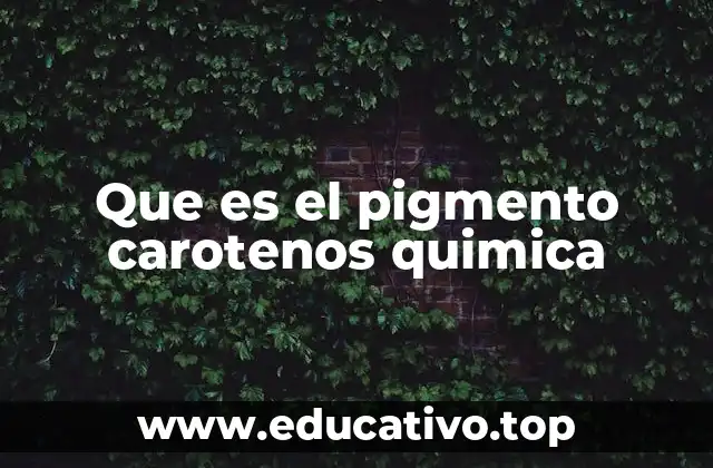 Que es el pigmento carotenos quimica