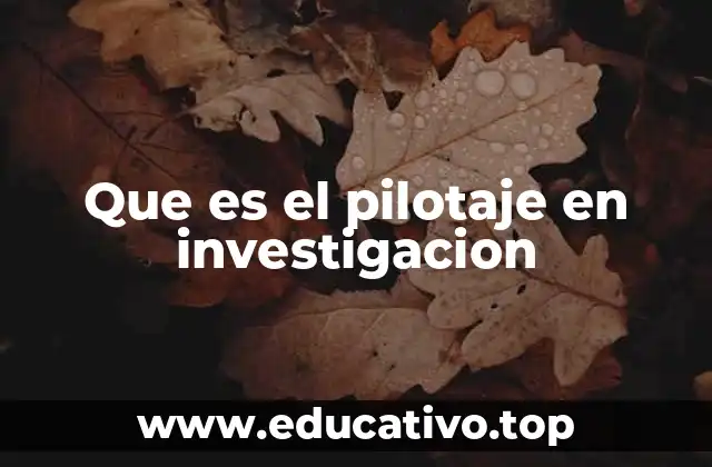 Que es el pilotaje en investigacion