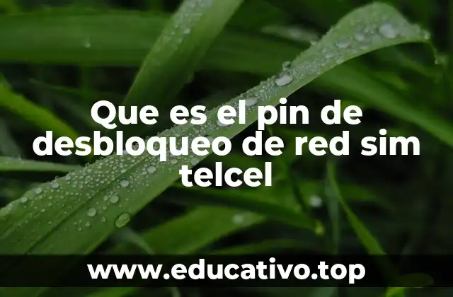 Que es el pin de desbloqueo de red sim telcel