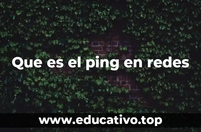 Que es el ping en redes