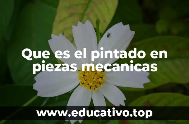 Que es el pintado en piezas mecanicas