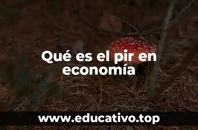 Qué es el pir en economía