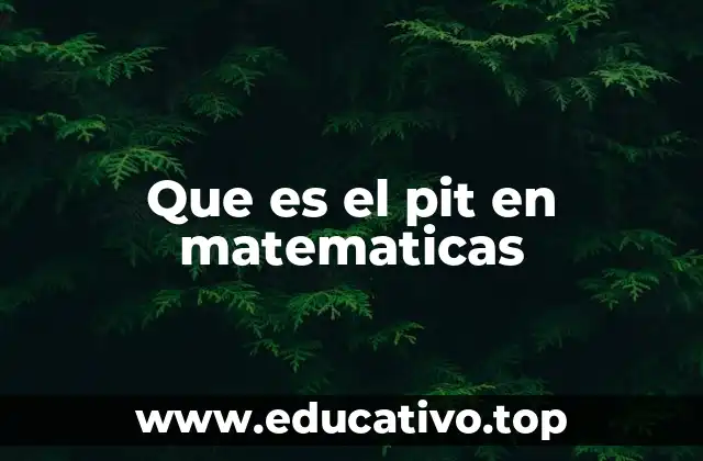 El uso del pit en teoría de categorías