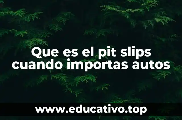 Que es el pit slips cuando importas autos