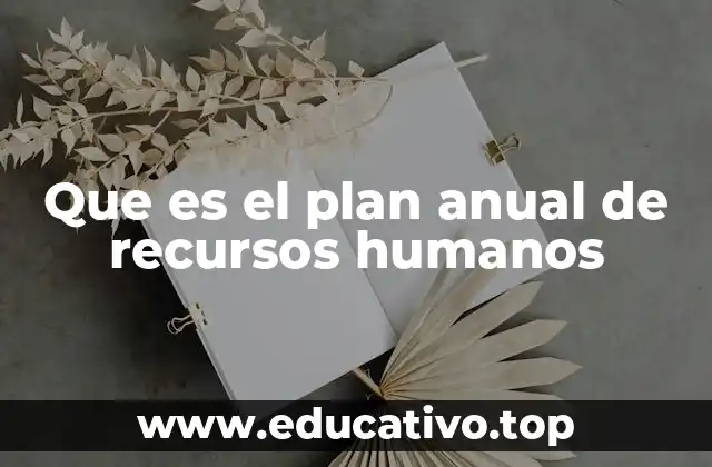 Que es el plan anual de recursos humanos