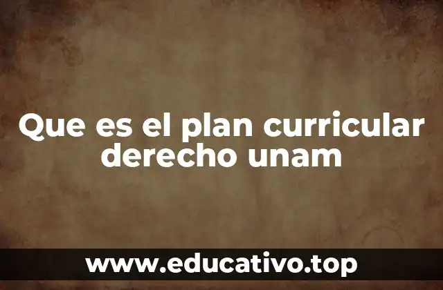 Que es el plan curricular derecho unam