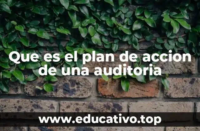 Que es el plan de accion de una auditoria