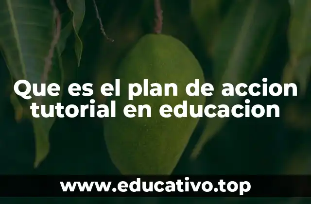 Que es el plan de accion tutorial en educacion