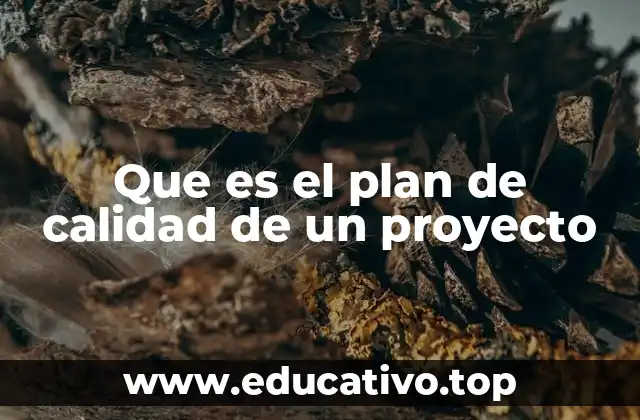 Que es el plan de calidad de un proyecto