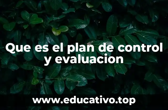 Que es el plan de control y evaluacion