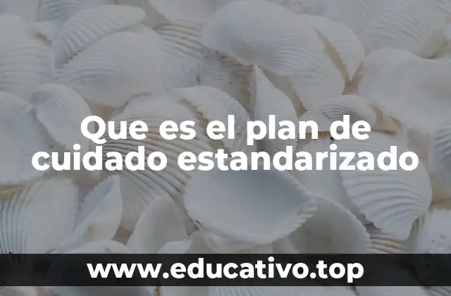 Que es el plan de cuidado estandarizado