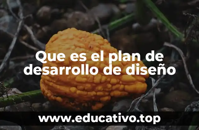 Que es el plan de desarrollo de diseño