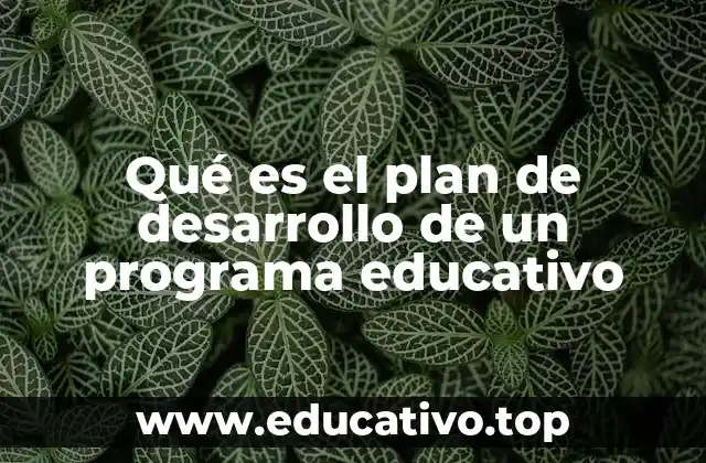 Qué es el plan de desarrollo de un programa educativo