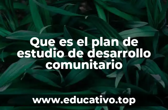 Que es el plan de estudio de desarrollo comunitario