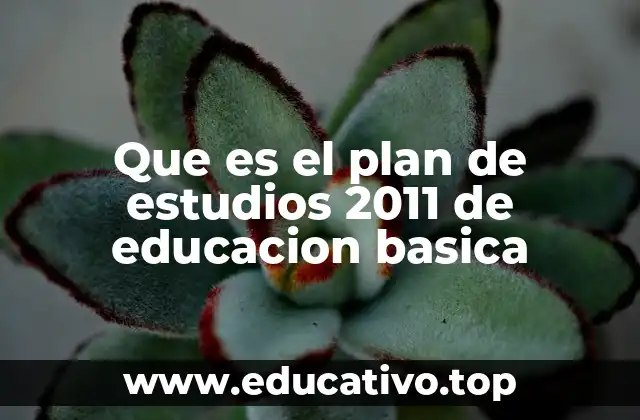 Que es el plan de estudios 2011 de educacion basica
