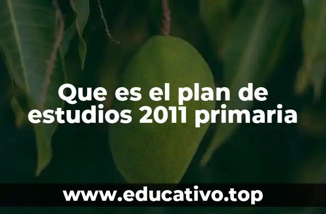 Que es el plan de estudios 2011 primaria