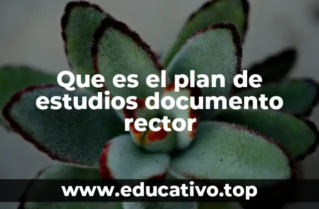Que es el plan de estudios documento rector