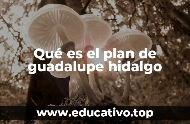 Qué es el plan de guadalupe hidalgo