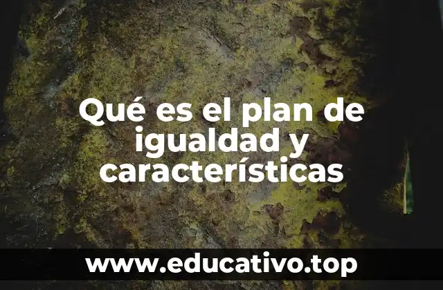 Qué es el plan de igualdad y características