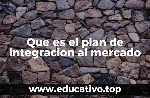 Que es el plan de integracion al mercado