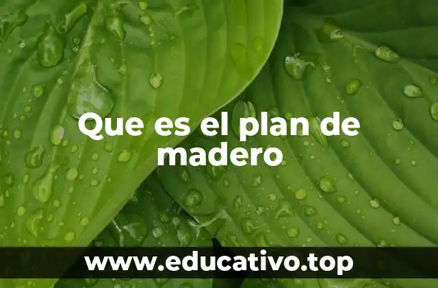 El impacto del Plan de Madero en la política mexicana