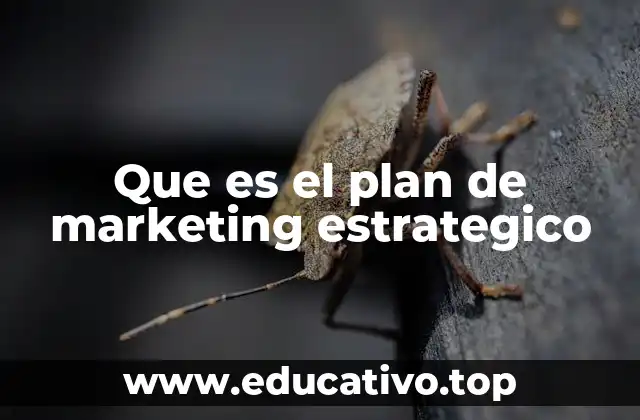 Que es el plan de marketing estrategico