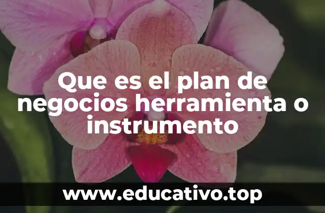 Que es el plan de negocios herramienta o instrumento