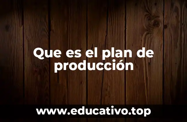 Que es el plan de producción