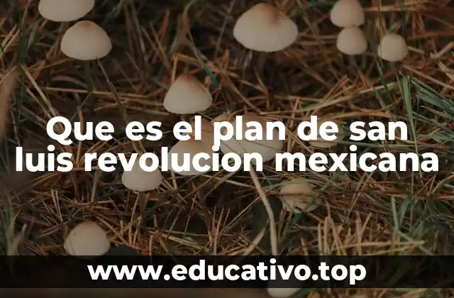 Que es el plan de san luis revolucion mexicana